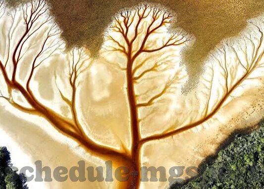 竞彩新浪比分足球-深度解析竞彩新浪比分足球，数据背后的战术博弈与投注智慧