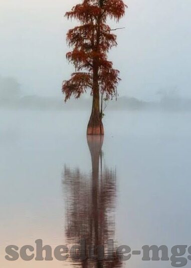 og百家乐-OG百家乐，娱乐新风尚与文化融合的探索